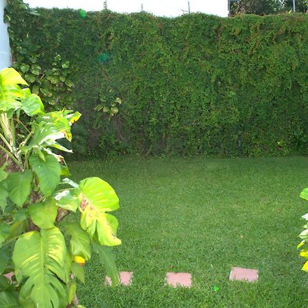Beautiful Jungle House On A Strategic Location Villa Cancún Eksteriør bilde