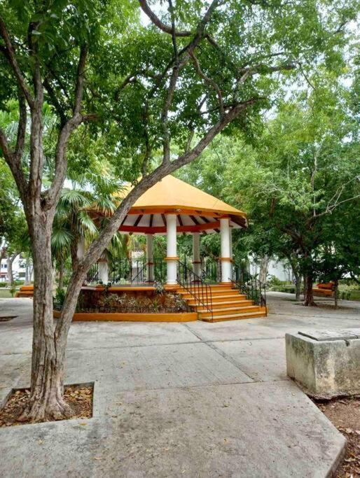 Beautiful Jungle House On A Strategic Location Villa Cancún Eksteriør bilde
