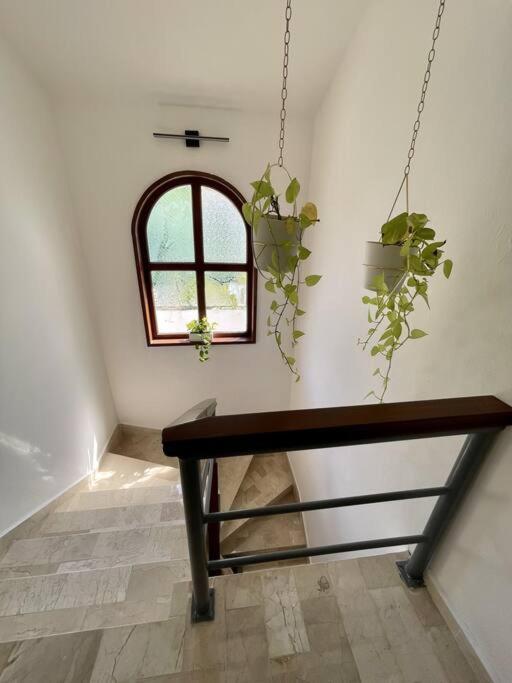 Beautiful Jungle House On A Strategic Location Villa Cancún Eksteriør bilde