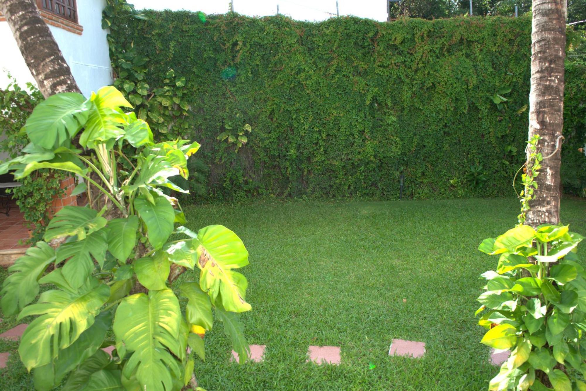 Beautiful Jungle House On A Strategic Location Villa Cancún Eksteriør bilde